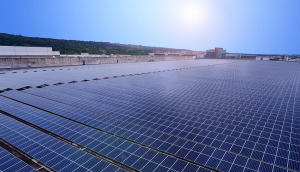 中美硅晶与好体育在线官网光电携手战略合作