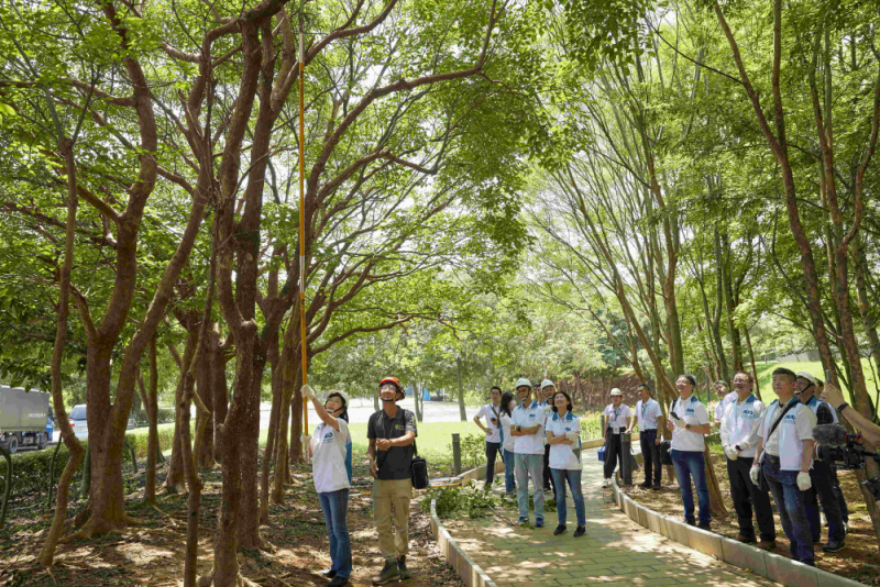 藝師教導大家認識樹木、檢查樹的健康狀況，學習修枝及碎枝覆土